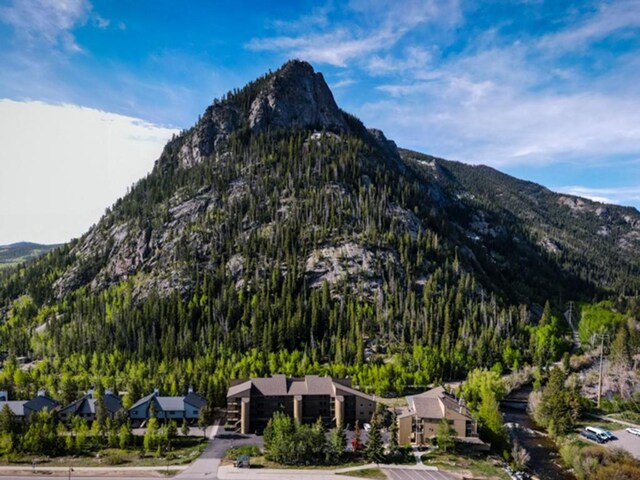 400 W Main St Unit 104, Frisco, CO 80443 - photo 36