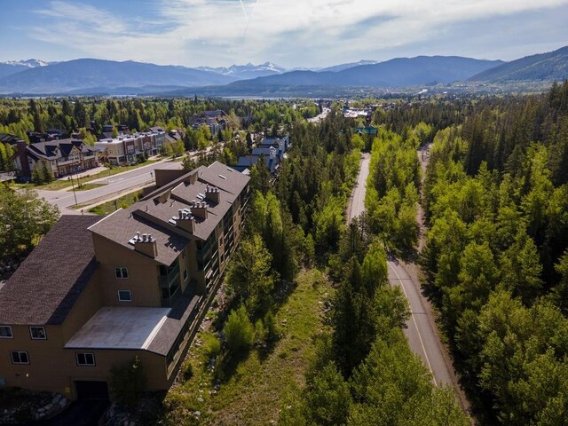 400 W Main St Unit 104, Frisco, CO 80443 - photo 33