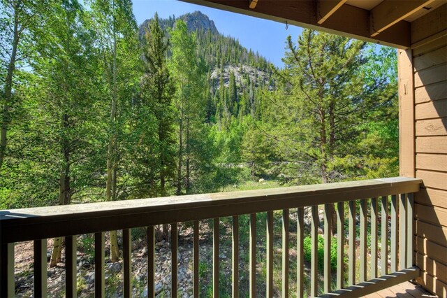 400 W Main St Unit 104, Frisco, CO 80443 - photo 24