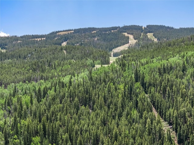 184 Caravelle Dr Unit 20, Keystone, CO 80435 - view of mountain background with a forest