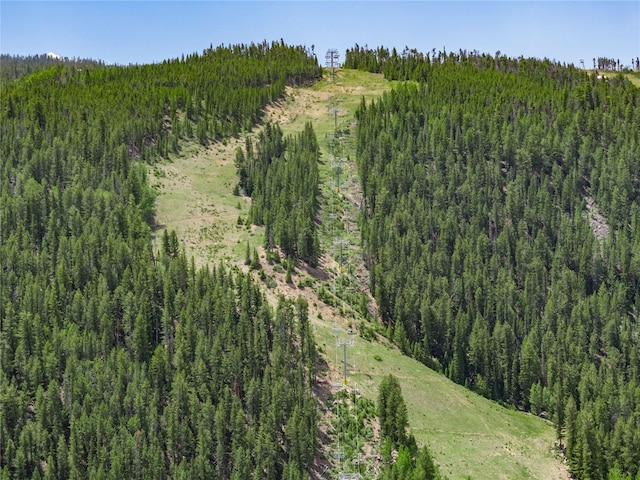 184 Caravelle Dr Unit 20, Keystone, CO 80435 - aerial view of property's location with a heavily wooded area