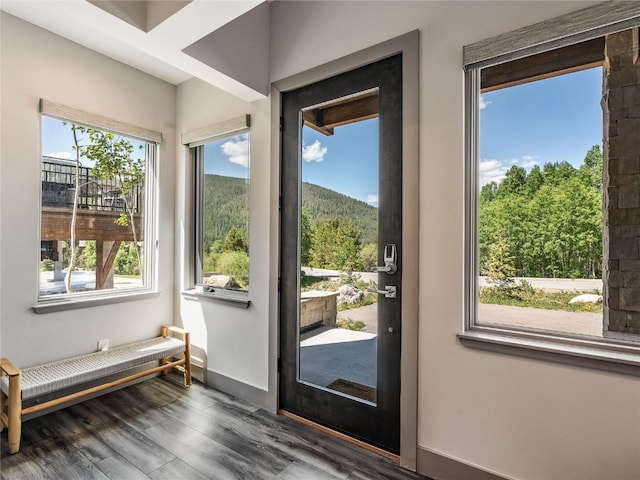 184 Caravelle Dr Unit 20, Keystone, CO 80435 - doorway to outside featuring wood finished floors and baseboards