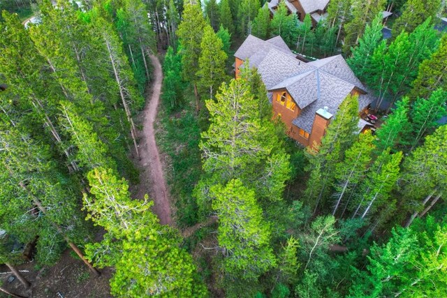 120 Windwood Cir, Breckenridge, CO 80424 - birds eye view of property