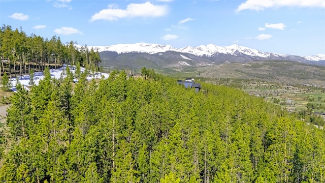 792 Discovery Hill Dr, Breckenridge, CO 80424