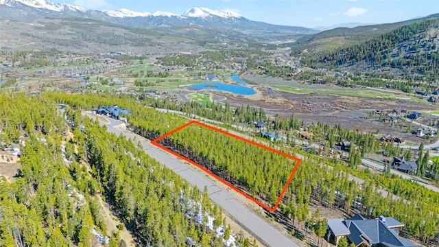 792 Discovery Hill Dr, Breckenridge, CO 80424
