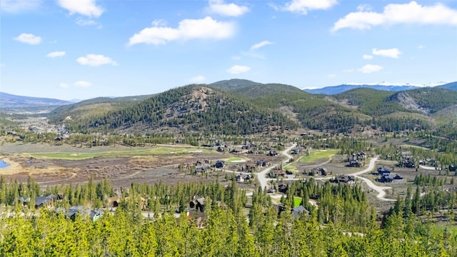 792 Discovery Hill Dr, Breckenridge, CO 80424