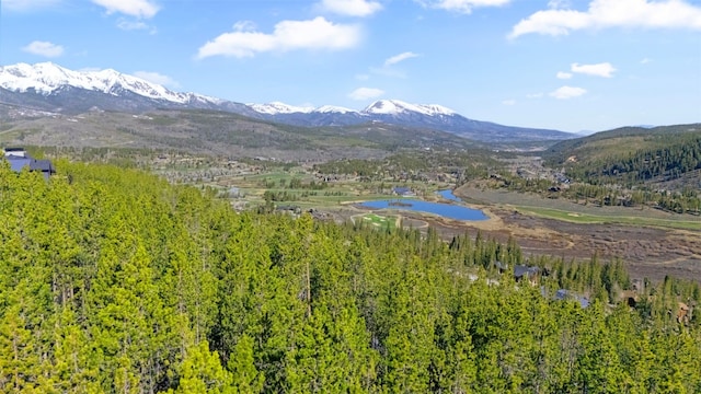 792 Discovery Hill Dr, Breckenridge, CO 80424