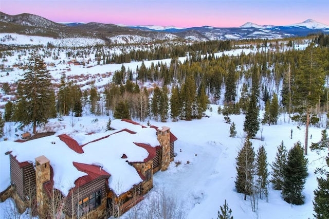118 Gold Piece Dr, Breckenridge, CO 80424 - photo 47