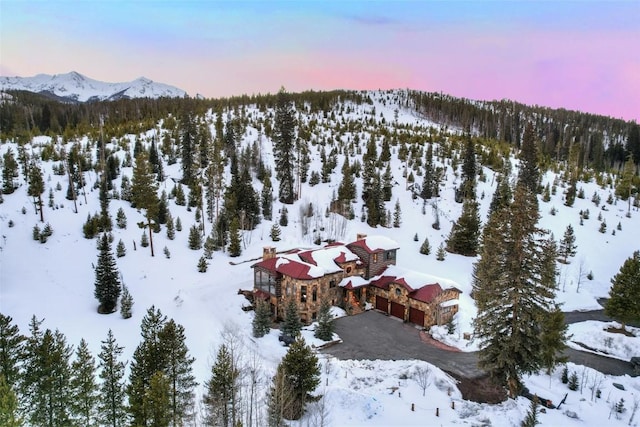 118 Gold Piece Dr, Breckenridge, CO 80424 - photo 1