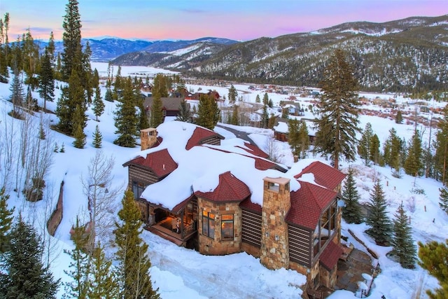 118 Gold Piece Dr, Breckenridge, CO 80424 - photo 46