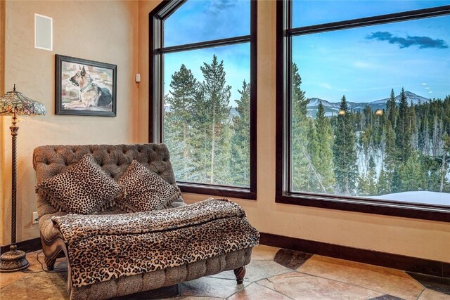 118 Gold Piece Dr, Breckenridge, CO 80424 - photo 20
