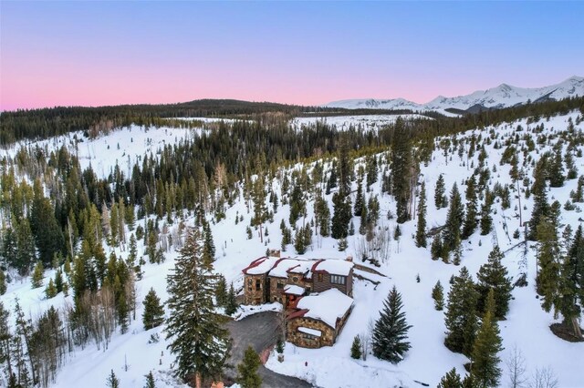 118 Gold Piece Dr, Breckenridge, CO 80424 - photo 3