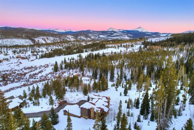 118 Gold Piece Dr, Breckenridge, CO 80424 - photo 48
