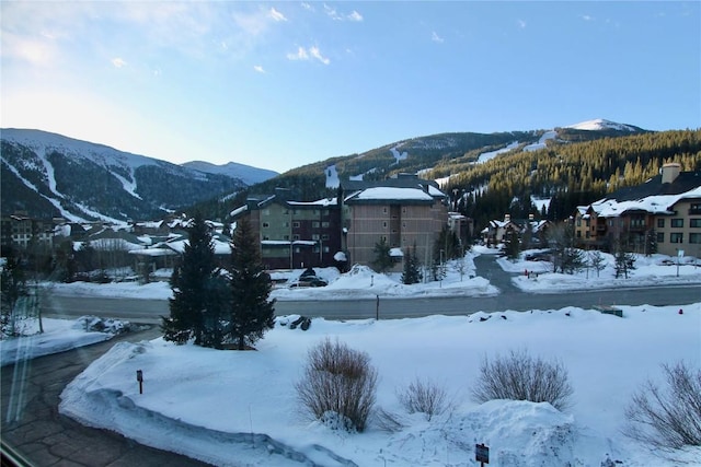 115 Beeler Pl Unit 1, Copper Mountain, CO 80443 - mountain view