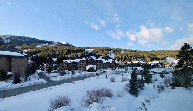 115 Beeler Pl Unit 1, Copper Mountain, CO 80443 - view of mountain feature with a residential view