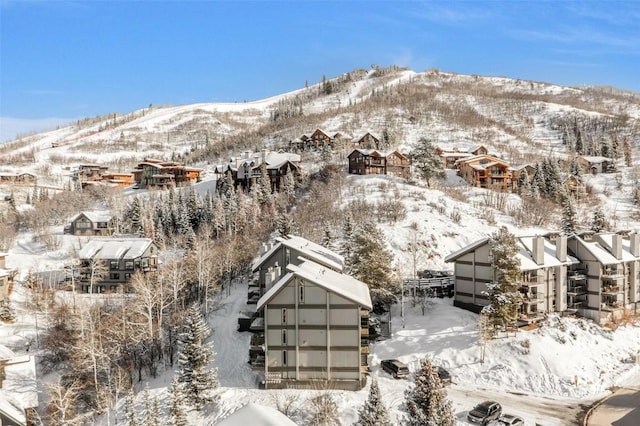 mountain view