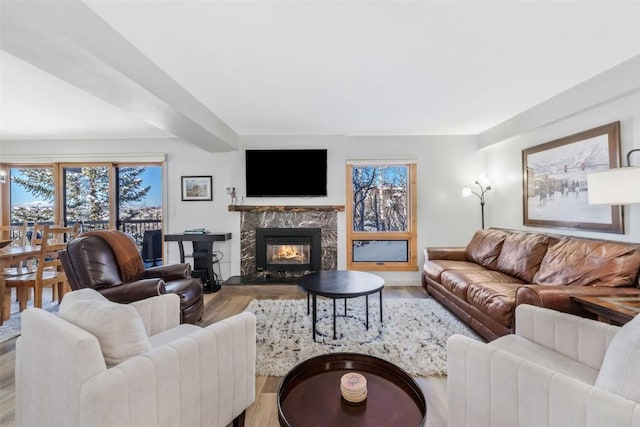 living area featuring a fireplace, wood finished floors, and baseboards