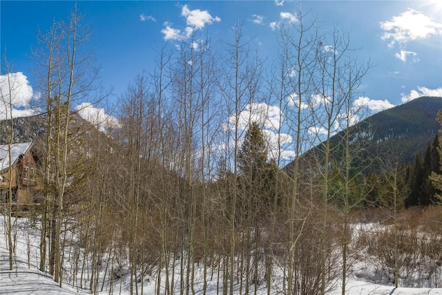 property view of mountains