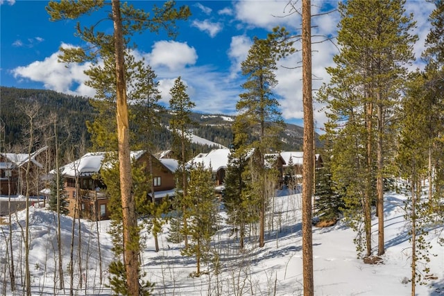 yard covered in snow featuring a mountain view