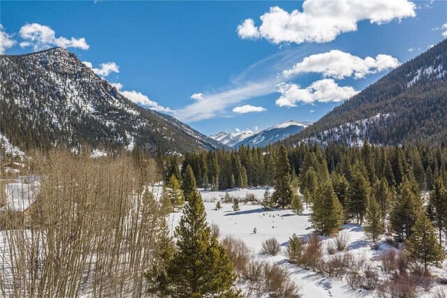 628 Montezuma Rd Unit D-2, Keystone, CO 80435 - view of mountain feature featuring a forest view