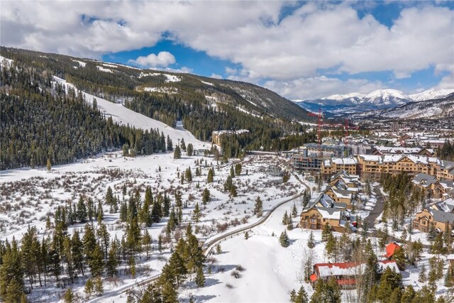 628 Montezuma Rd Unit D-2, Keystone, CO 80435 - property view of mountains