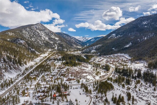 628 Montezuma Rd Unit D-2, Keystone, CO 80435 - view of mountain feature