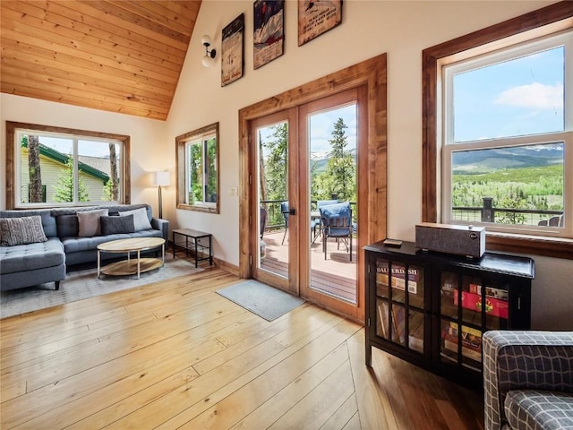 511 Fairview Blvd, Breckenridge, CO 80424 - doorway featuring hardwood / wood-style flooring, healthy amount of natural light, wooden ceiling, high vaulted ceiling, and french doors