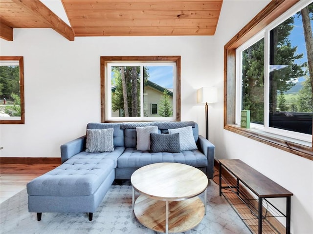 511 Fairview Blvd, Breckenridge, CO 80424 - living area featuring wooden ceiling and wood finished floors