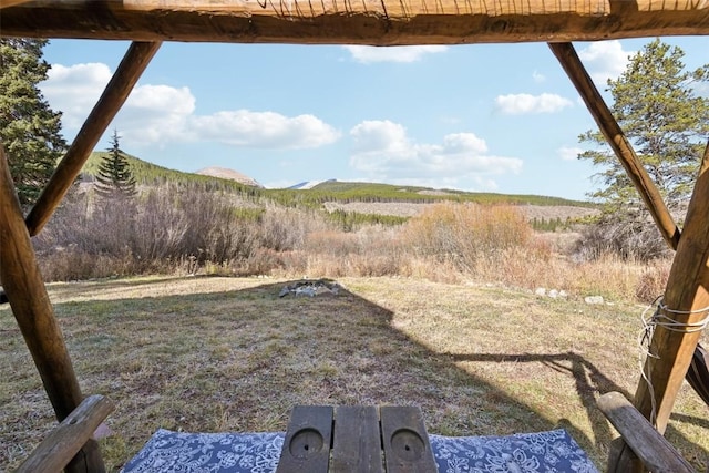 53 Mariposa Pl, Blue River, CO 80424 - photo 40