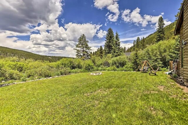 53 Mariposa Pl, Blue River, CO 80424 - photo 35