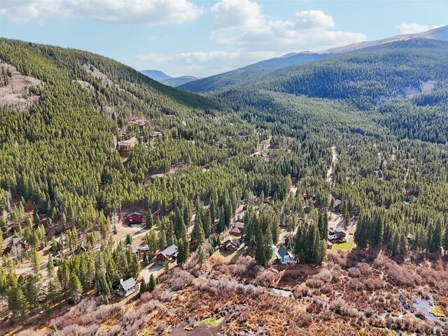 53 Mariposa Pl, Blue River, CO 80424 - photo 39