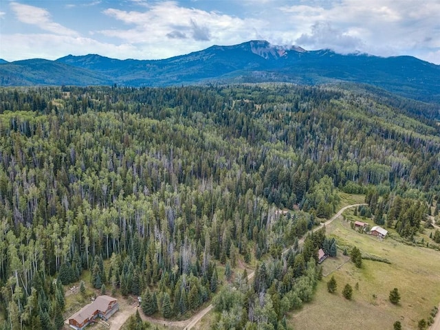39455 Crows Nest Dr, Clark, CO 80428