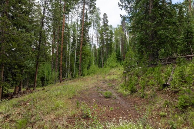 39455 Crows Nest Dr, Clark, CO 80428