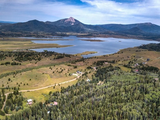 39455 Crows Nest Dr, Clark, CO 80428