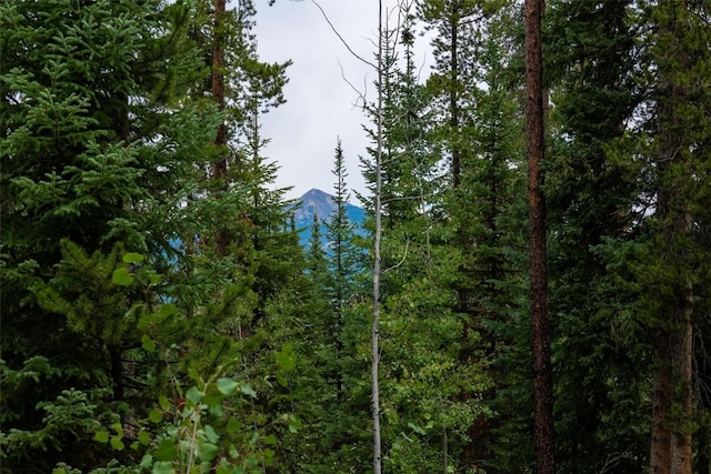 39455 Crows Nest Dr, Clark, CO 80428