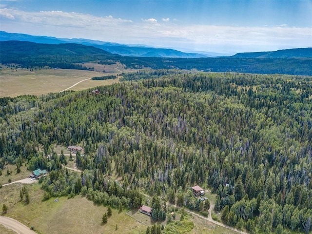 39455 Crows Nest Dr, Clark, CO 80428