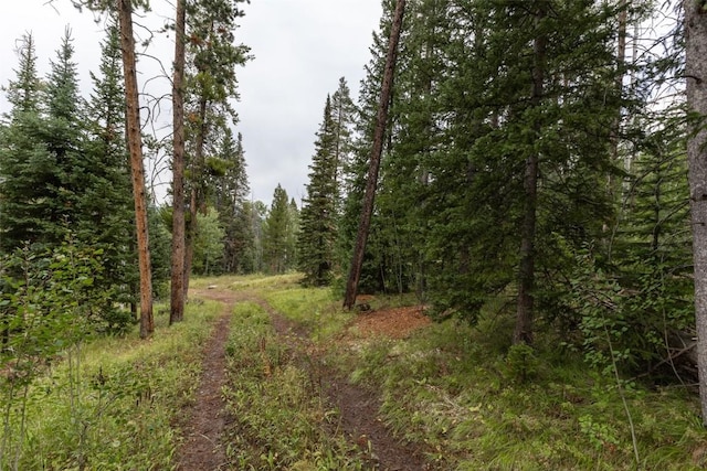 39455 Crows Nest Dr, Clark, CO 80428