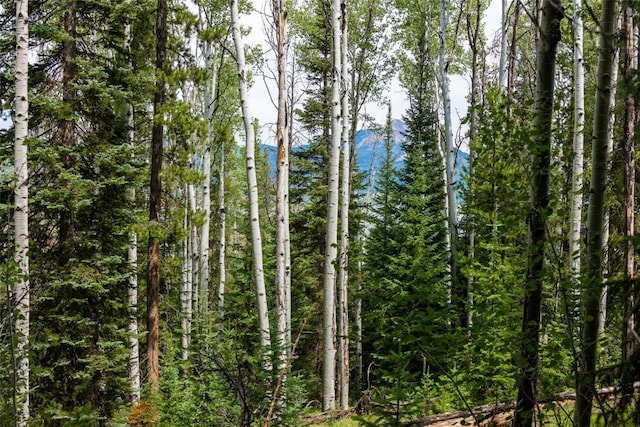 39455 Crows Nest Dr, Clark, CO 80428