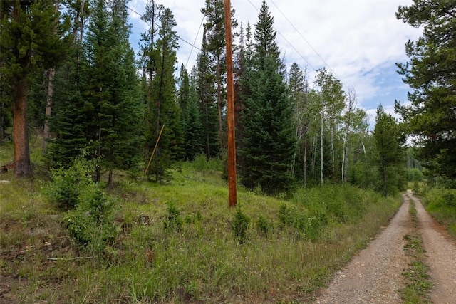 39455 Crows Nest Dr, Clark, CO 80428