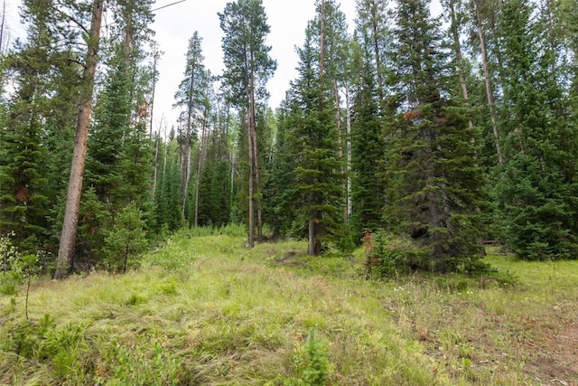 39455 Crows Nest Dr, Clark, CO 80428