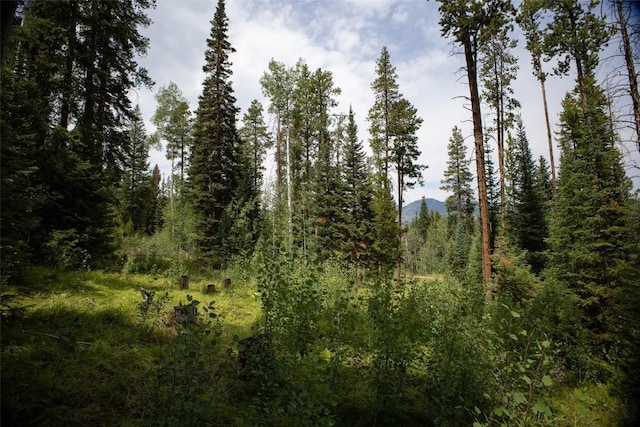 39455 Crows Nest Dr, Clark, CO 80428