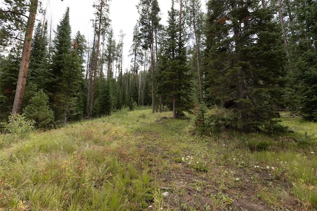 39455 Crows Nest Dr, Clark, CO 80428