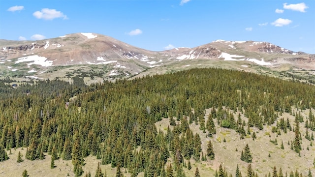 1375 Roberts Rd, Alma, CO 80440 - view of mountain backdrop featuring a heavily wooded area