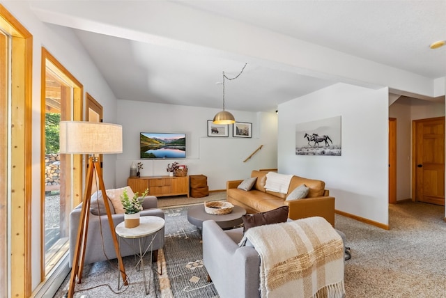 1375 Roberts Rd, Alma, CO 80440 - carpeted living room featuring baseboards