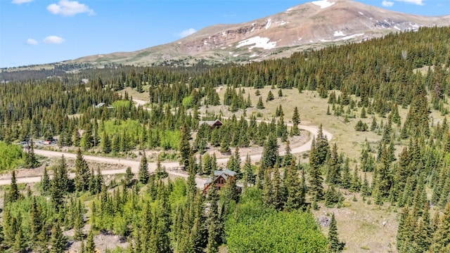 1375 Roberts Rd, Alma, CO 80440 - view of mountain background with a heavily wooded area