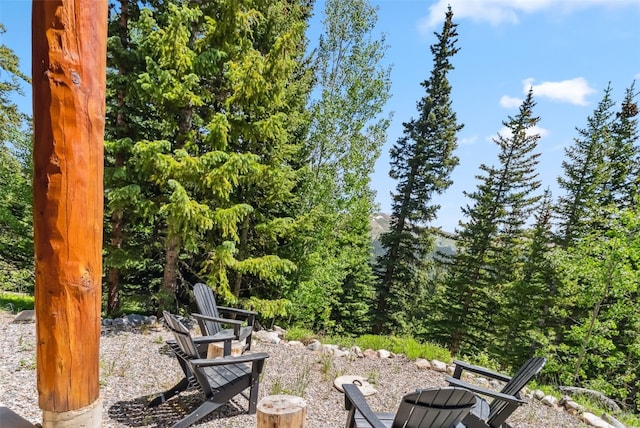 1375 Roberts Rd, Alma, CO 80440 - view of patio / terrace