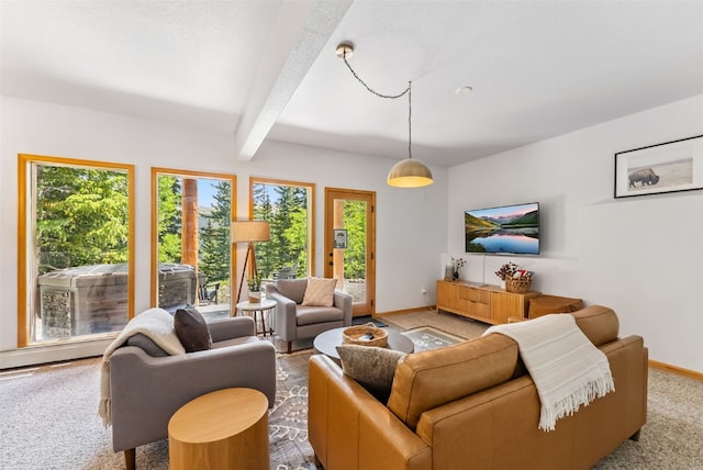 1375 Roberts Rd, Alma, CO 80440 - carpeted living room with baseboards and beamed ceiling