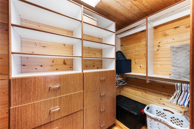 26395 County Road 33a, Steamboat Springs, CO 80487 - view of spacious closet