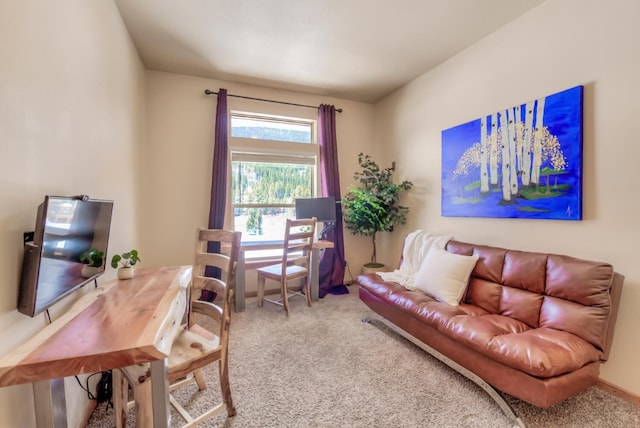 60 Calle De Plata, Breckenridge, CO 80424 - photo 18