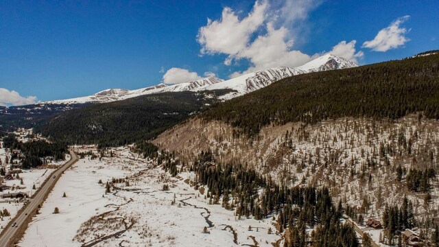 60 Calle De Plata, Breckenridge, CO 80424 - photo 48